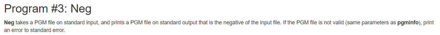What would you do to make neg.cpp? above are parameters to check
