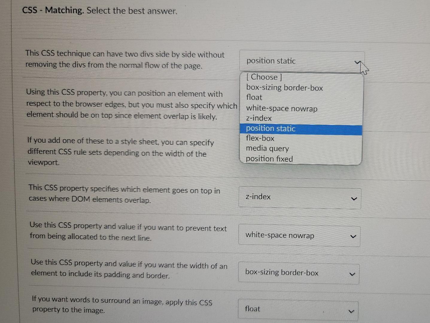 CSS selector that applies to a DOM element with [Choose ] a
