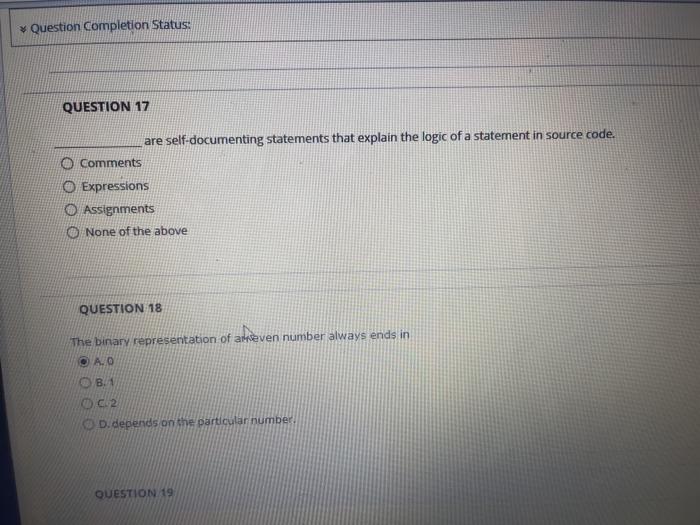  Question Completion Status: QUESTION 17 are self-documenting statements that explain the