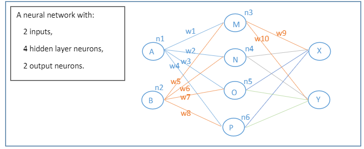  How can I update weights in the above model using Back