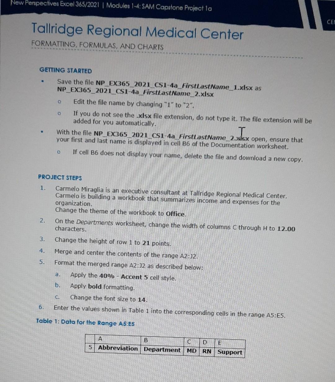  please solve this project, subject:Computer Applications GETTING STARTED Save the file