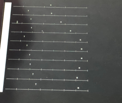 Assignment #24: Tortoise and the Hare (Project) Your challenge for this assignment