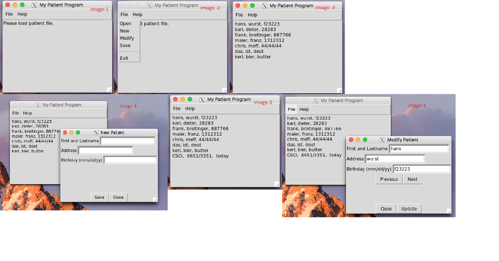GUI Development. Implement a patient management system. When the program starts it
