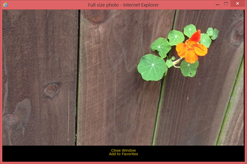When the user clicks on a picture and it opens a window