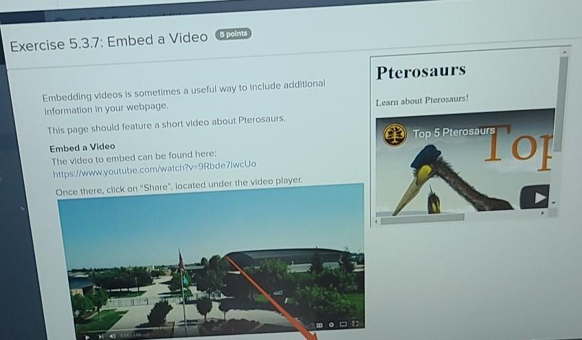 about Pterosaurs! 11 172 18 14 15