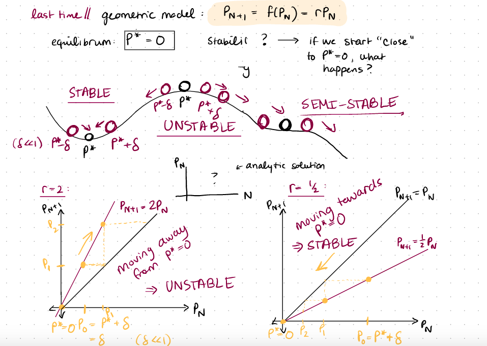 LaTex, typeset the analytic solution to the geometric growth model (model introduced