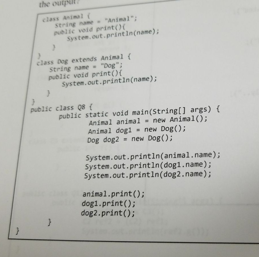 what is the error with this code? the outpul class Animal