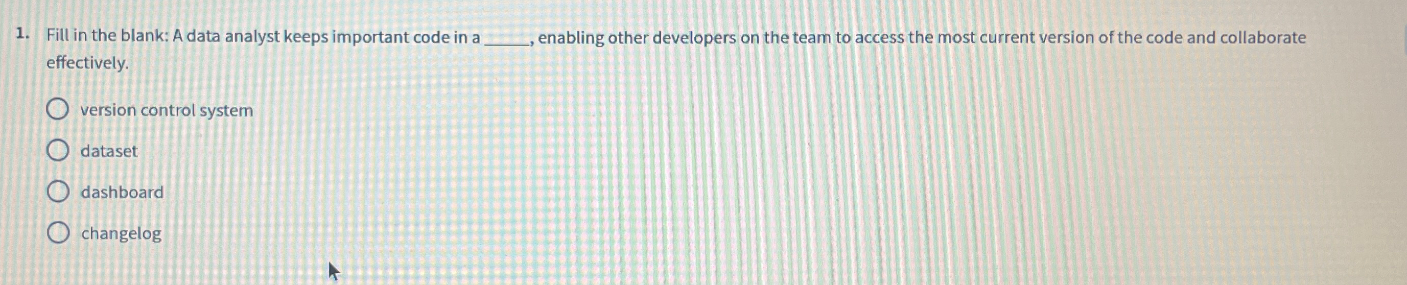  Fill in the blank: A data analyst keeps important code in