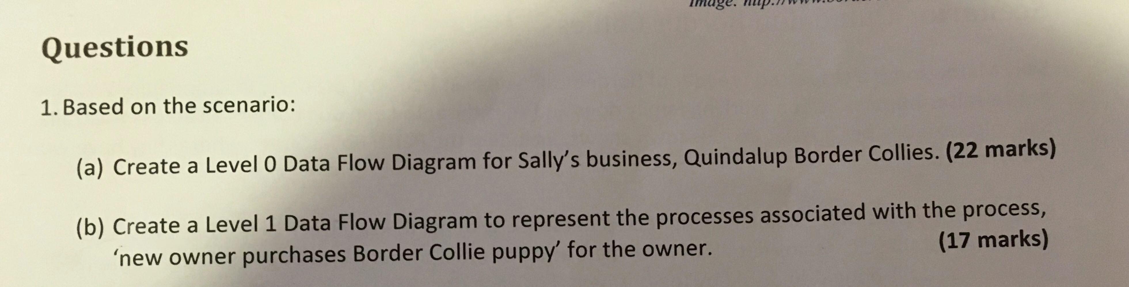 Data Flow Diagram for Sally's business, Quindalup Border Collies. (22 marks) (b)