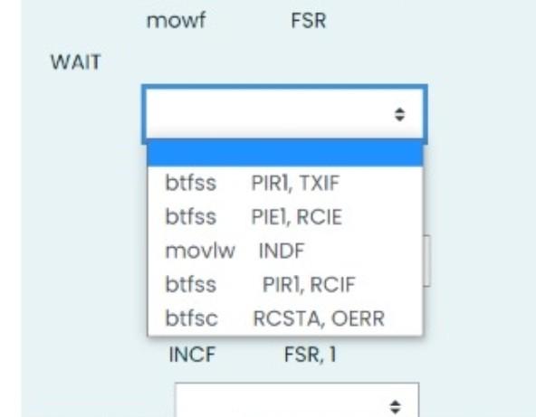mowt FSR WAIT goto WAIT goto WAIT movt RCREG,W movwf INDF incf