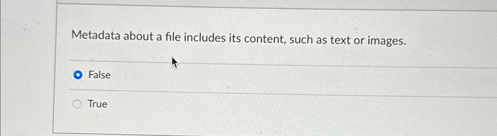  Metadata about a file includes its content, such as text or