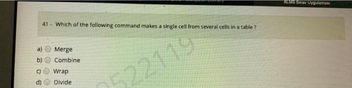 In Excel, which representation is used for absolute cell reference of a
