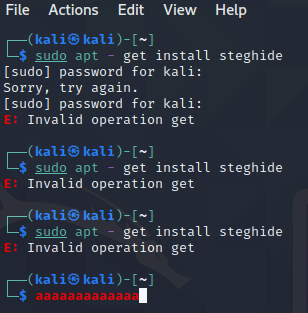  kail Linux. security question. I use sudo apt - get steghide