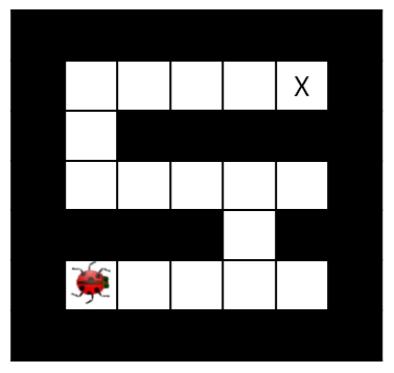 The questions share a common setup. You control one or more insects