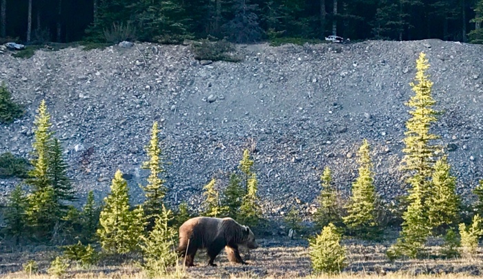 I am trying to create as well as all the required outputs