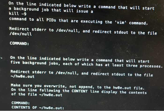  on the line indicated below write a command that will start