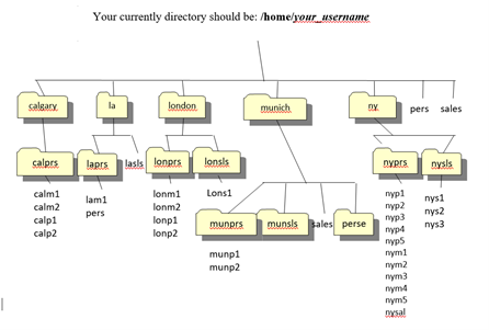 Lab 3 CLI Utilities with Files & Directories Background Experience running commands