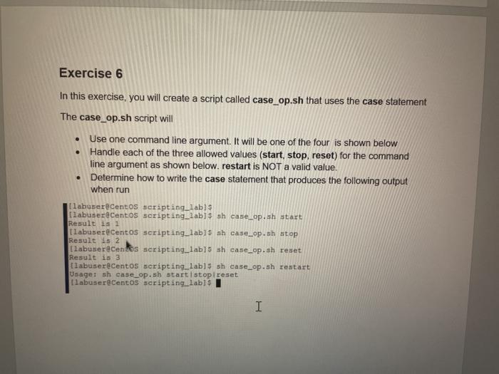  . Exercise 6 In this exercise, you will create a script