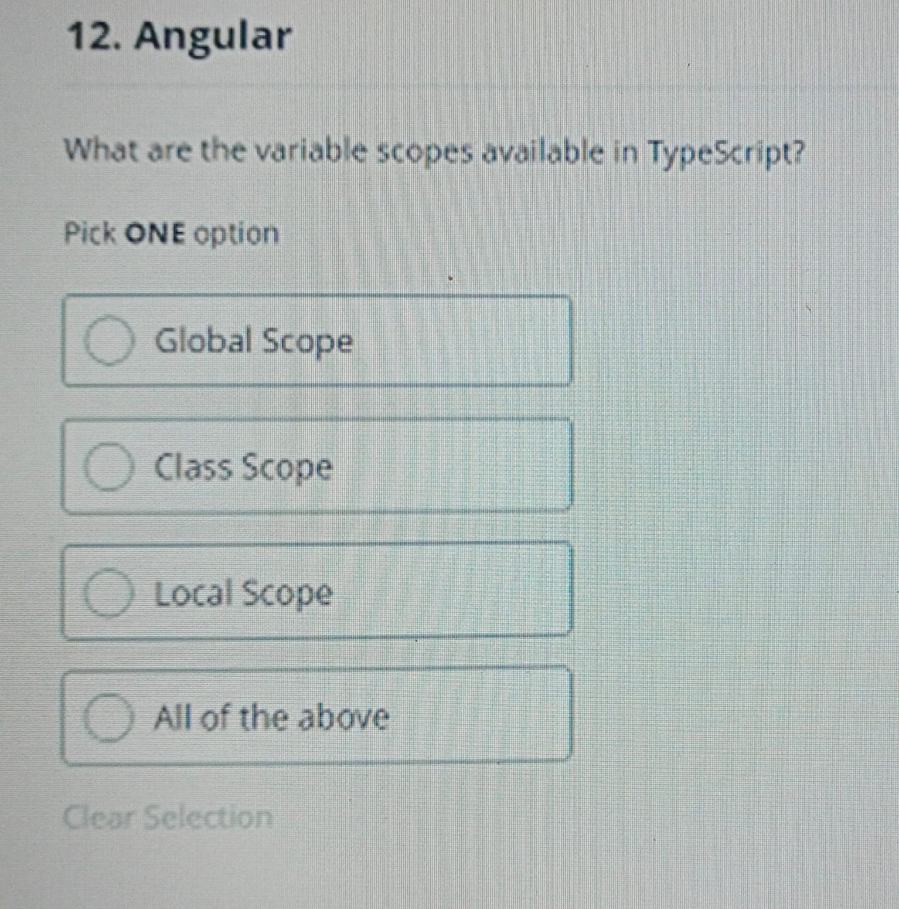  Angular What are the variable scopes available in TypeScript? Pick ONE