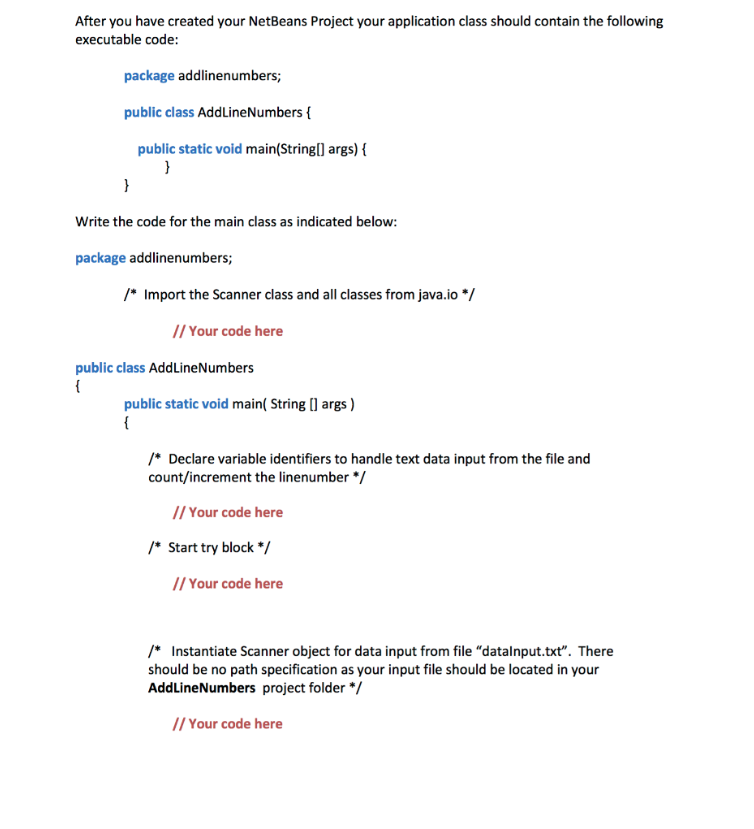 Create a Java NetBeans project named AddLineNumbers with the main class named