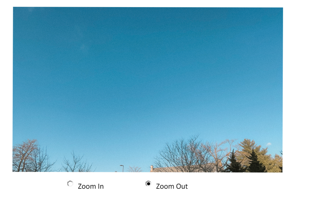In JavaScript 1) Add radio buttons below an image for users to