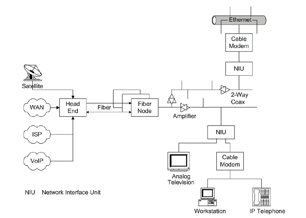Answer these questions concisely and precisely. What is the role of the