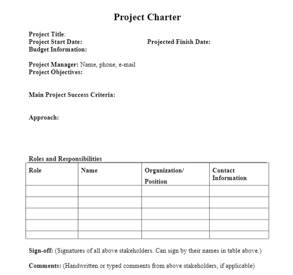 charter for a web development project. Assume you are going to develop