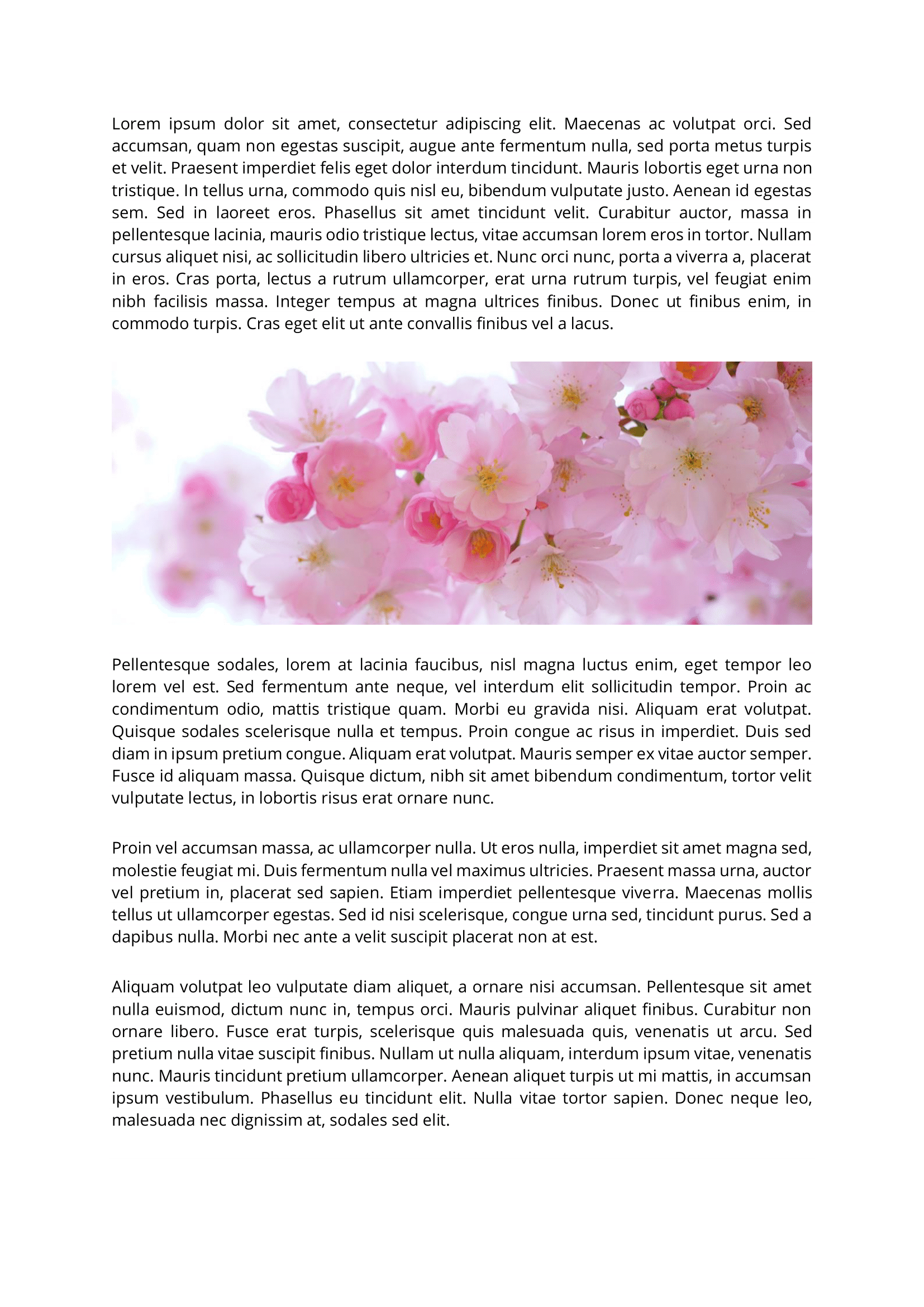 tables and pictures. Here images of research papers Extracted from 008.png. There