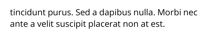 Sed in laoreet eros. Phasellus sit amet tincidunt velit. Curabitur auctor, massa