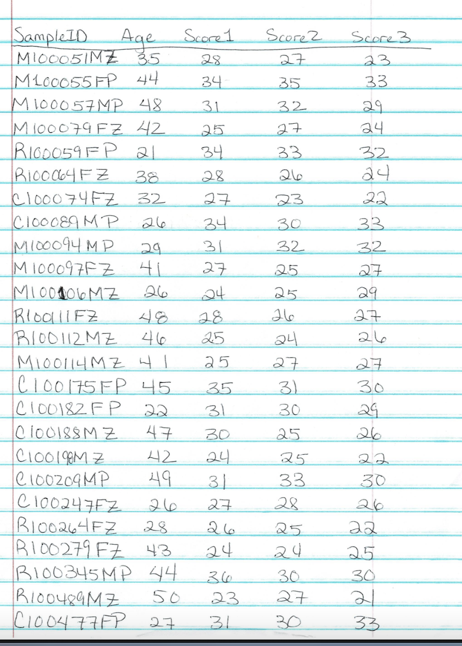 Type your information in the following format: Name VNumber Date Be sure