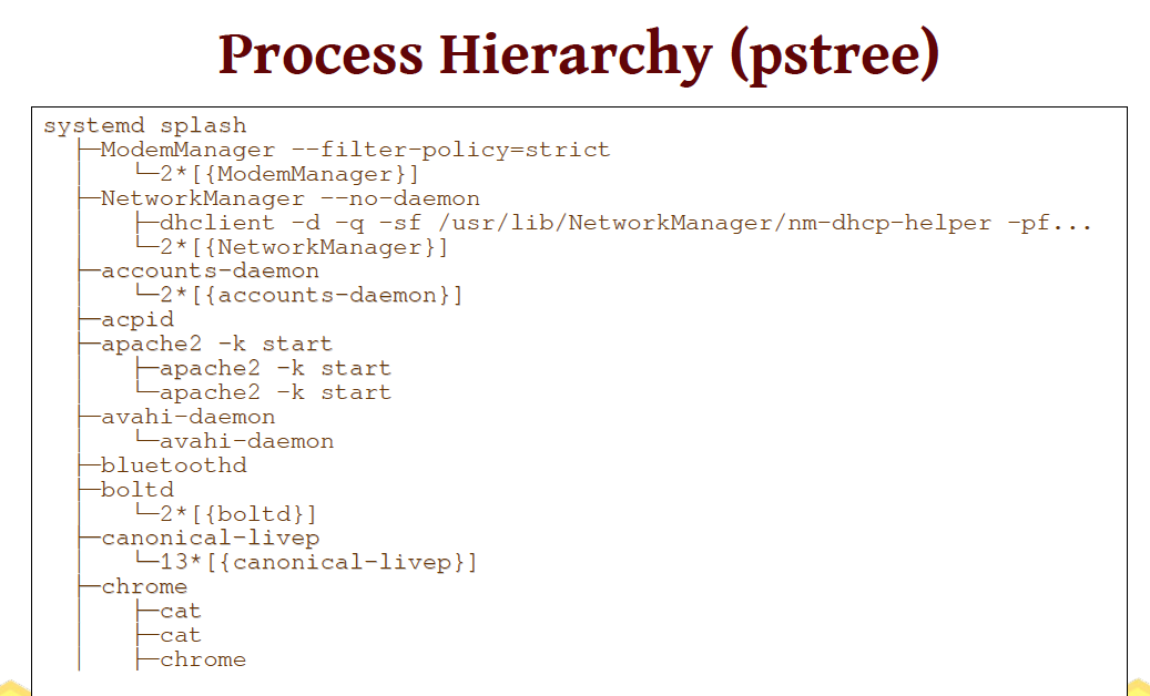 Explain image in details. Process Hierarchy (pstree) systemd splash -ModemManager --filter-policy=strict
