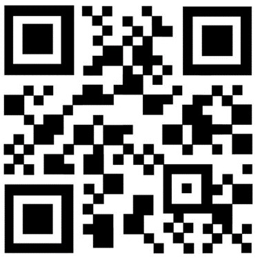 Your task is to make a QR code image simulation (sample shown