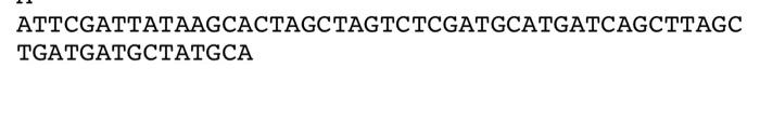 shown below.) The file input.txt contains a number of DNA sequences, one