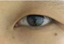 'eyes.zip' images. You need also to display and draw the detected irises