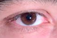 on the original images