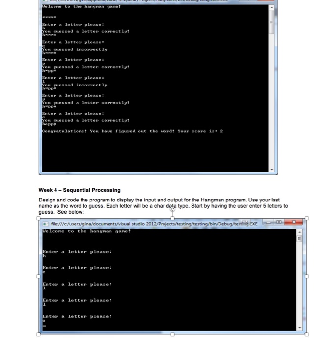  Design and code the program to display the input and output