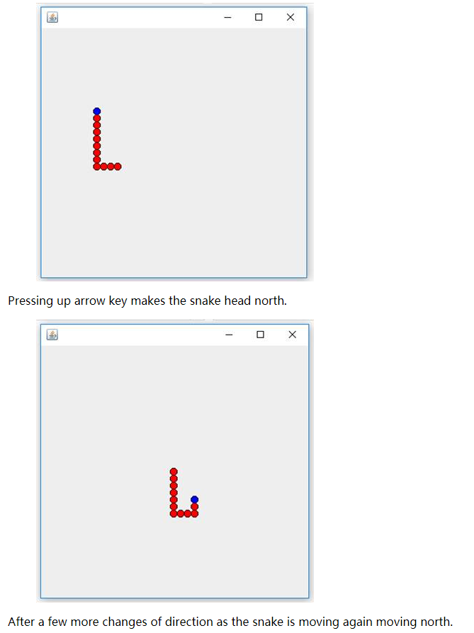 the picture below. The head is marked in blue, the rest of