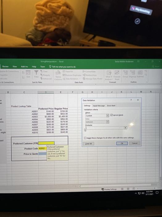  using CUSTOM VALIDATION FORMULA to accept only Y or N in