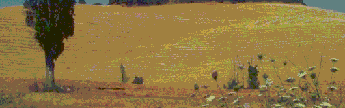 restart at the left border. The bird files given: (Please make the