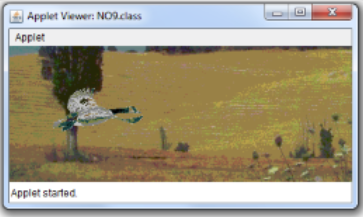 bird files alternate so it appears that the bird is flying across