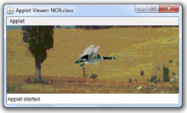 the window) bird0.gif bird1.gif bird2.gif bird3.gif The background image provided: bg.gif A