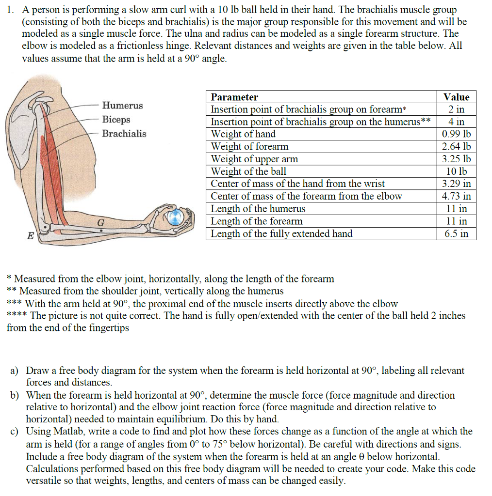 Please do all parts including the Matlab code. 1. A person is