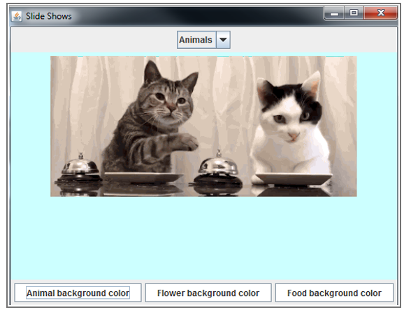 JAVA -- PLEASE EXPLAIN WITH COMMENTS Create slideshows with combo box containing
