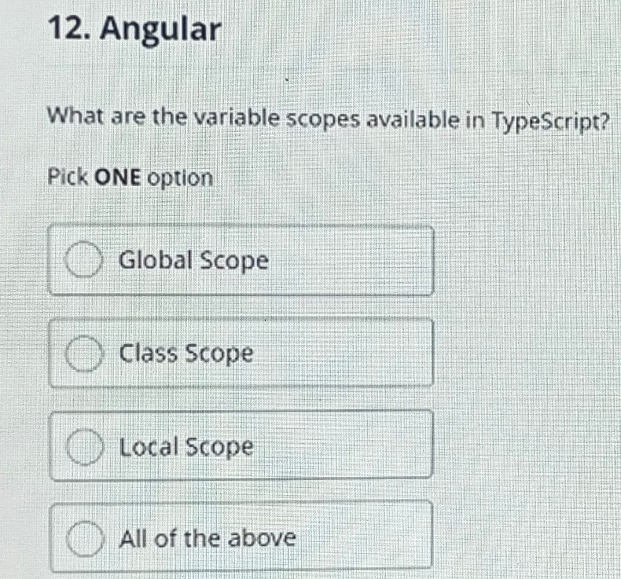  Angular What are the variable scopes available in TypeScript? Pick ONE