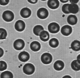 it is from Digital Image Processing. Again Just need Question 2.Thank you