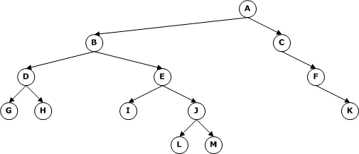 1) Given the following binary tree, what is the order in which