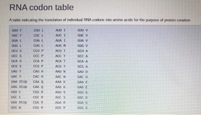 RNA sequence, and returns the corresponding amino acid string, as transcribed by