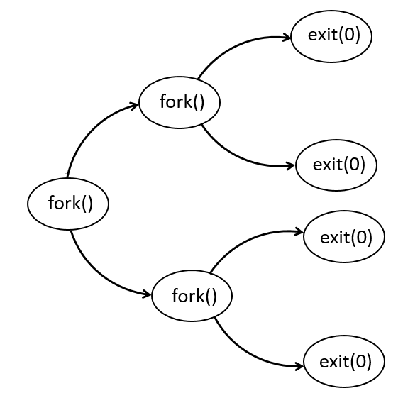 Write a C program called createProcesses.c to implement the following diagram in