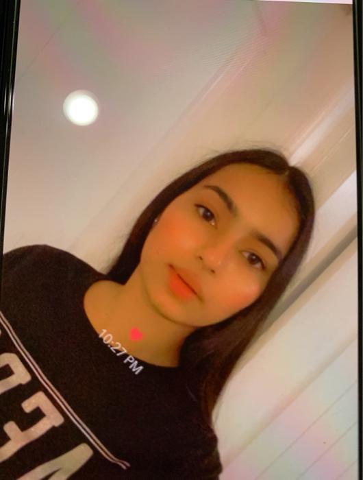 in punjab and is called land of five rivers. the sample ouput