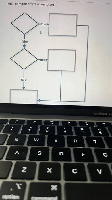  hurry What does this flowchart represent? a. while loop b.If Statement